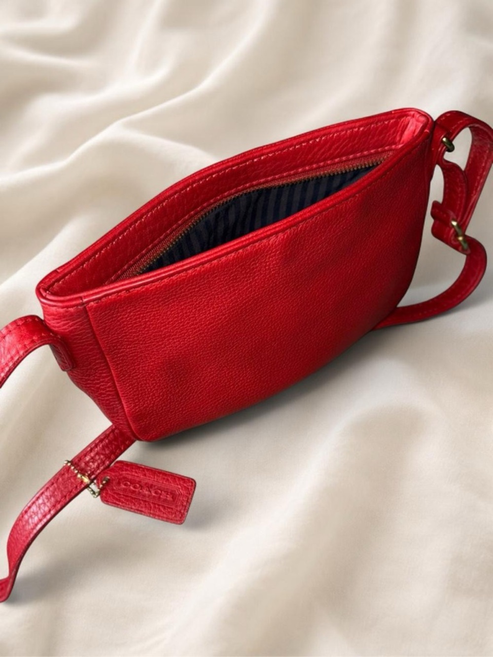 Coach Sonoma Mini Zip Bag